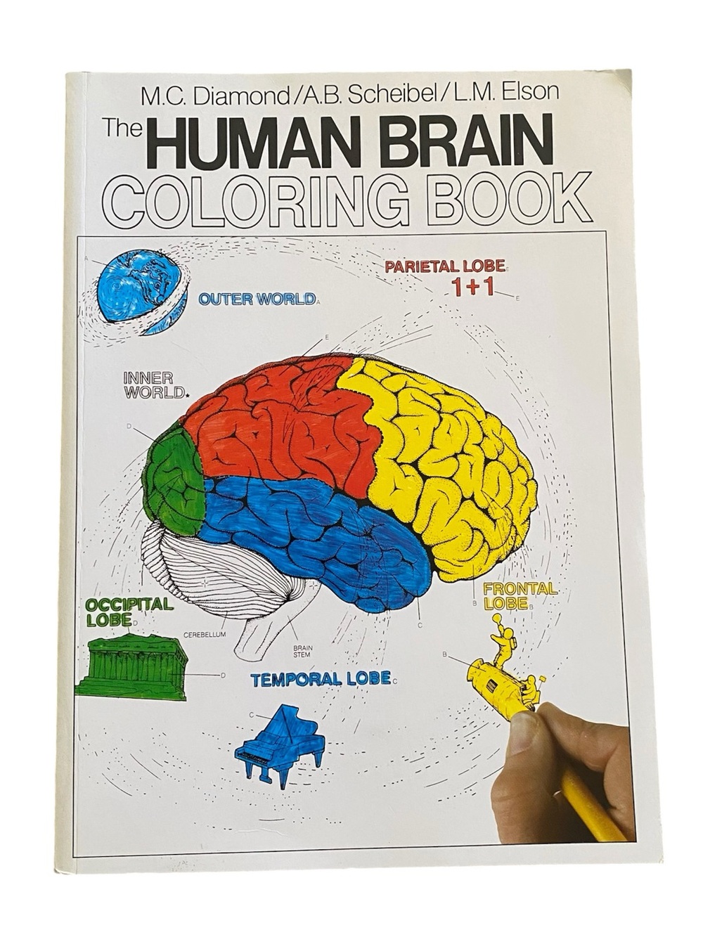 The Human Brain Coloring Book Diamond Scheibel Elson Collins Reference